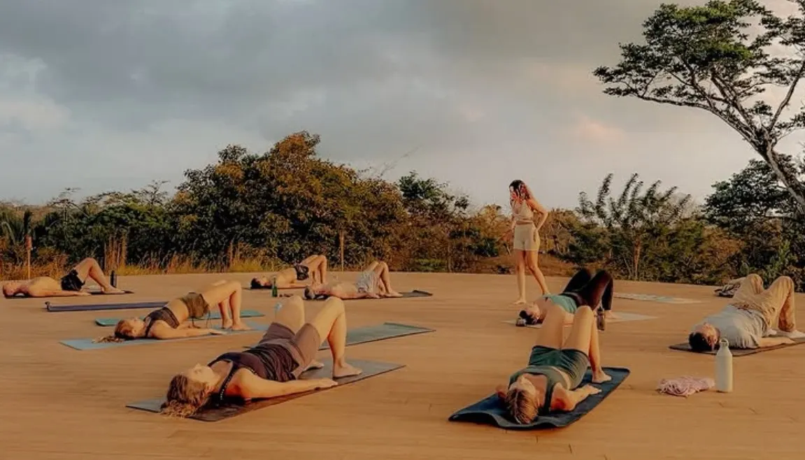 Movement classes
