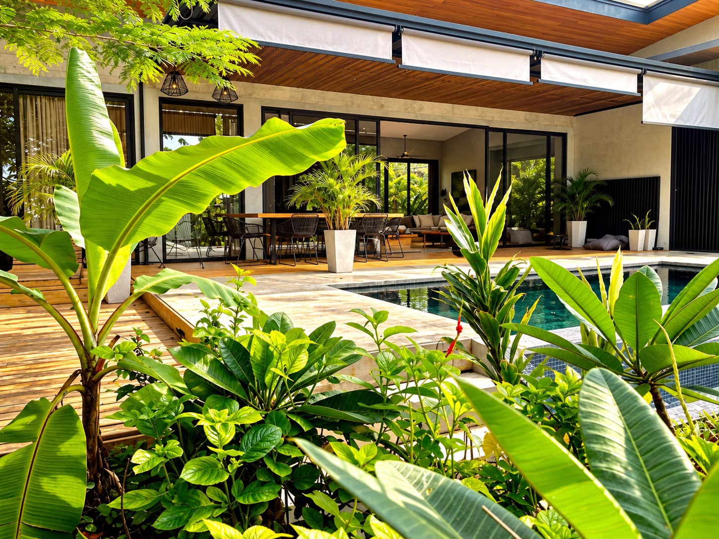 Casa Buho - View 7