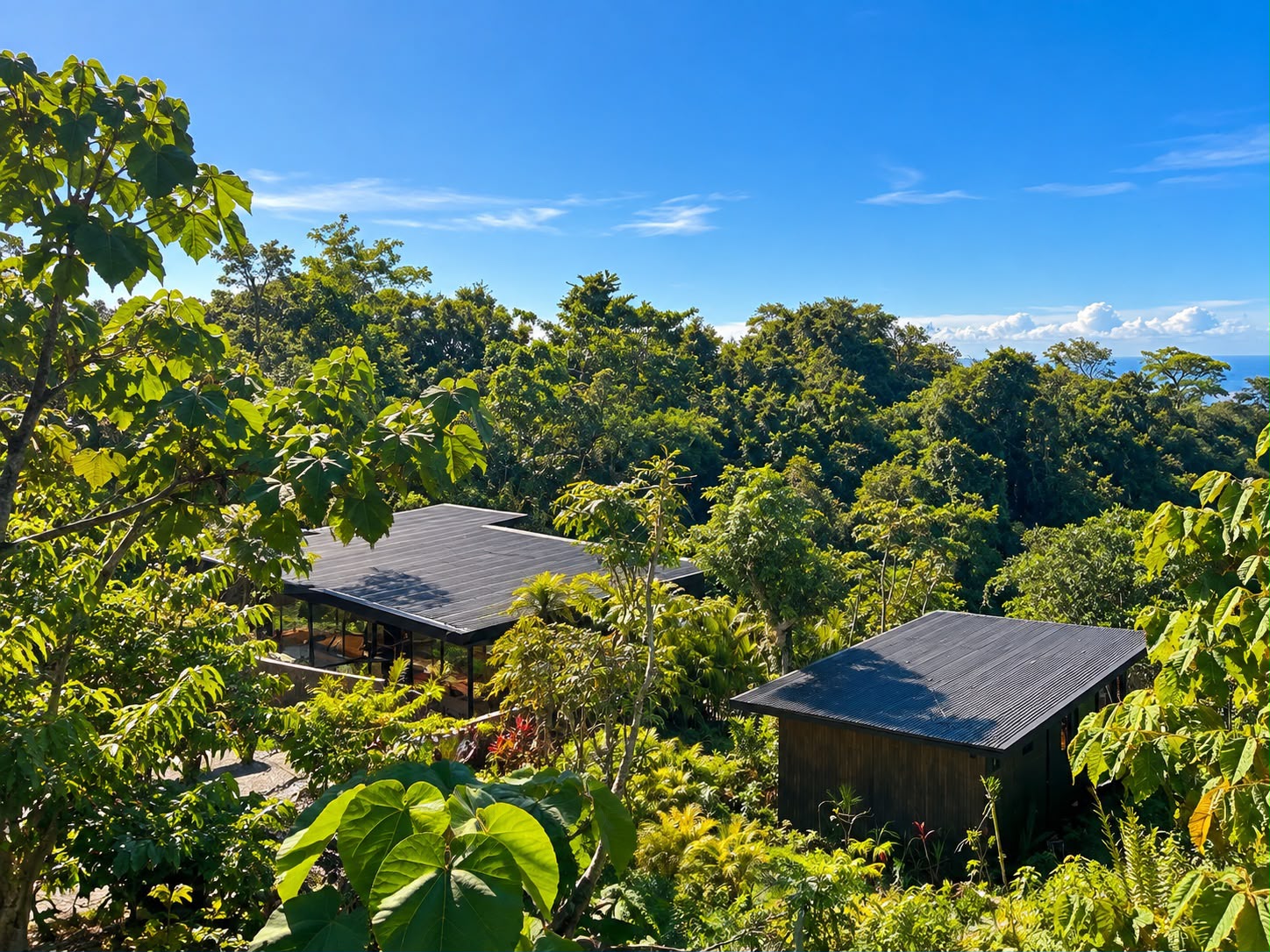 Casa Buho - View 8